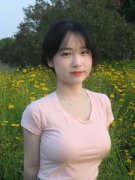 墨菲和其他阐发师认