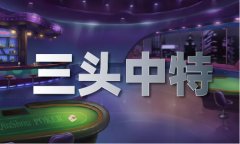 24年澳门今晚开彩成果查询表据领会 